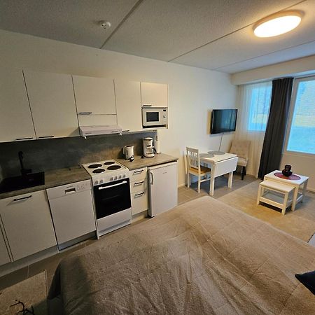 Levillenet Studio Apartment At Levi City Centre 外观 照片