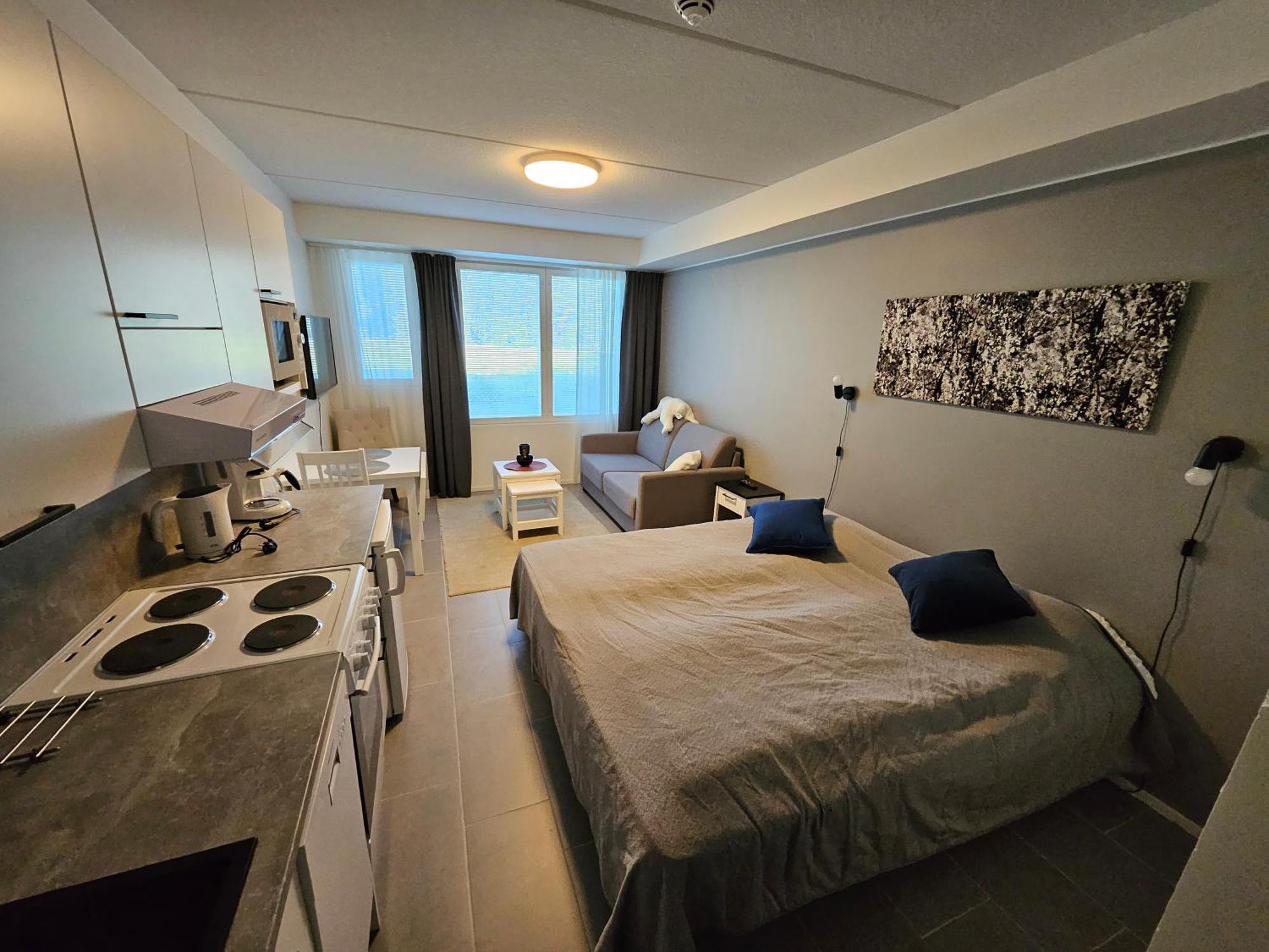Levillenet Studio Apartment At Levi City Centre 外观 照片